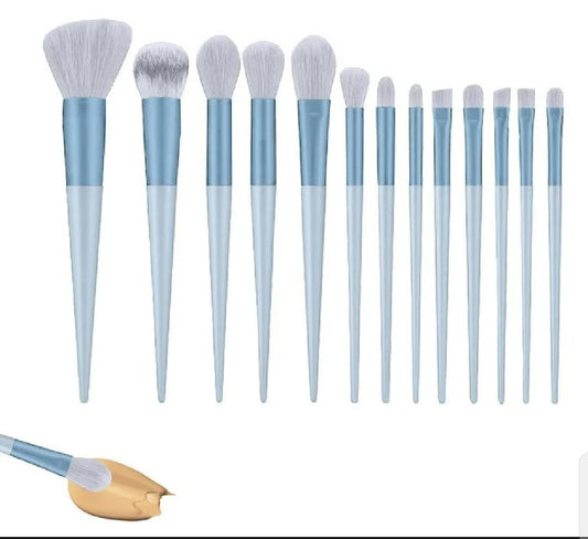 13 Pcs Makeup Brushes with Carry Pouch