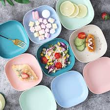 10 Pcs Plastic Plates With Stand